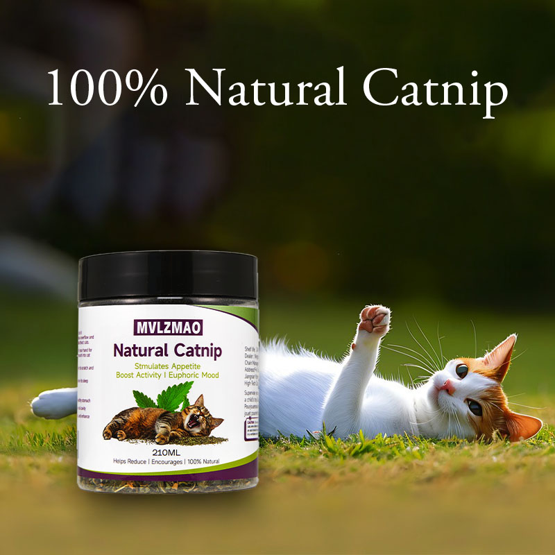 Kattenspeelgoed - Silvervine k - Nettle Leaf Tea recensie en prijs