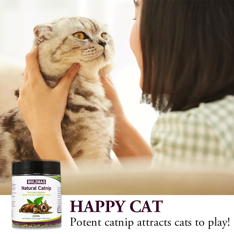 Kattenspeelgoed - Silvervine k - Nettle Leaf Tea recensie en prijs